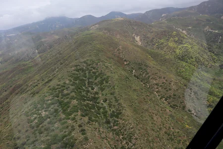 Coastal foothills near Dulah